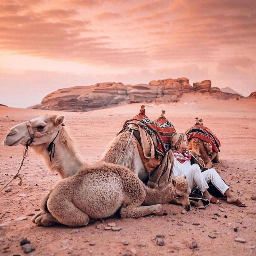 Wadi Rum Dream Camp Εξωτερικό φωτογραφία