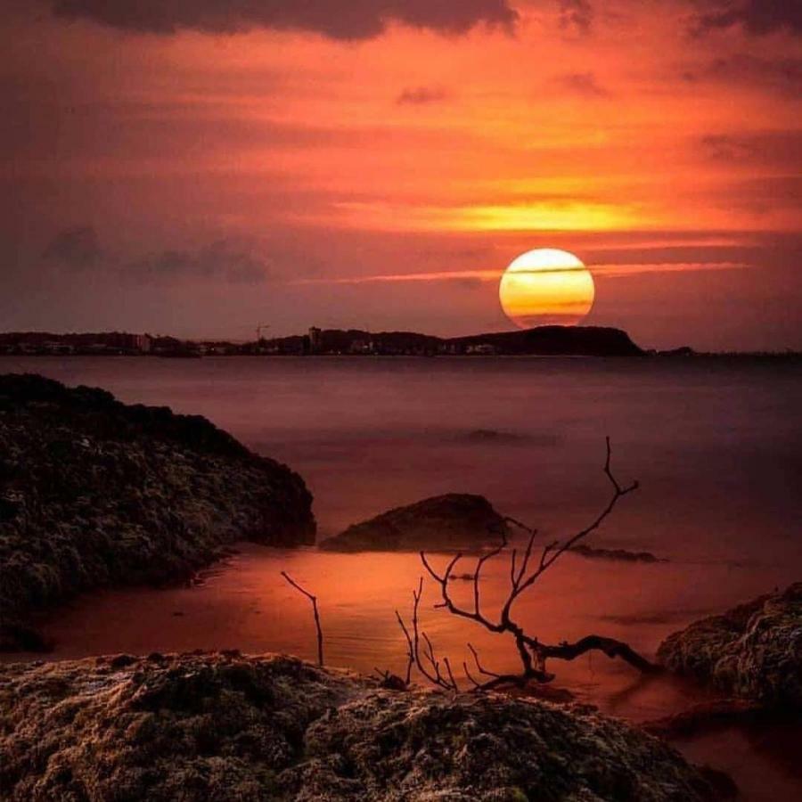 Wadi Rum Dream Camp Εξωτερικό φωτογραφία